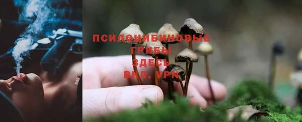 шишки Балабаново